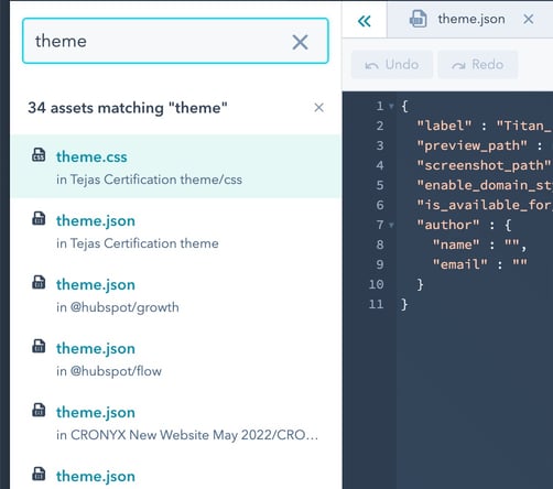 Editing HubSpot Themes in json