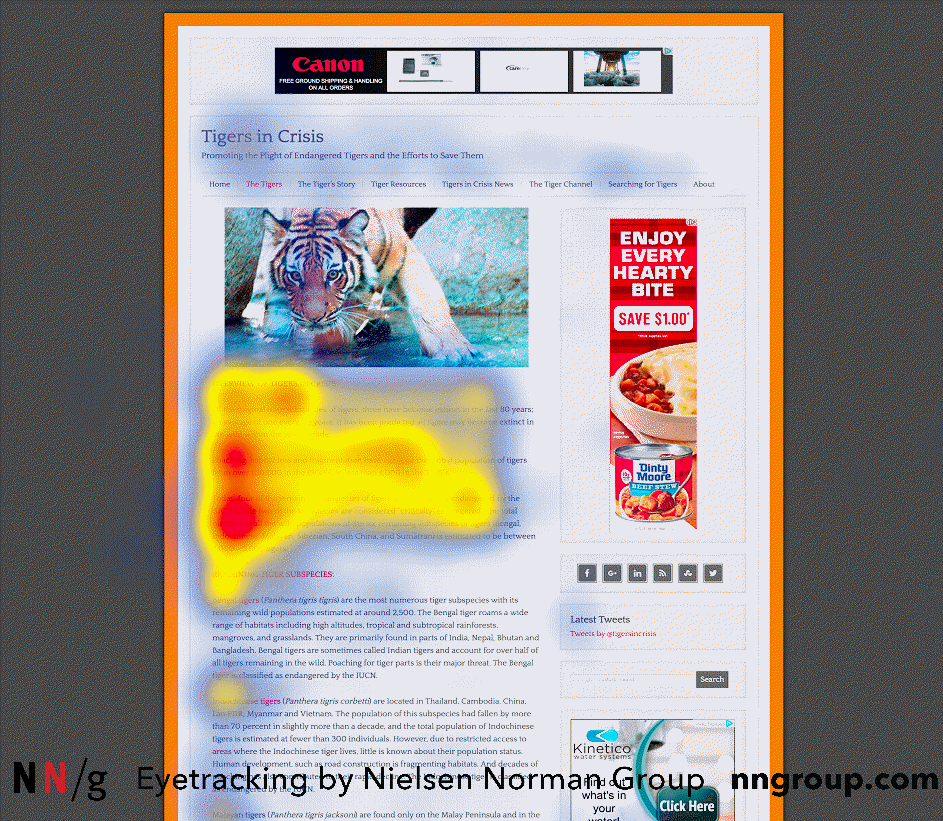 tigersincrisis-heat_corrected_cropped_watermark-nielsen-norman-group